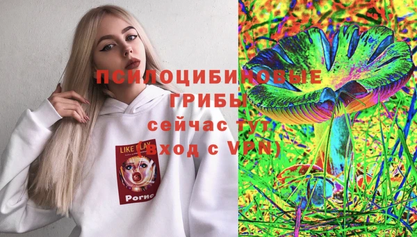альфа пвп Армянск