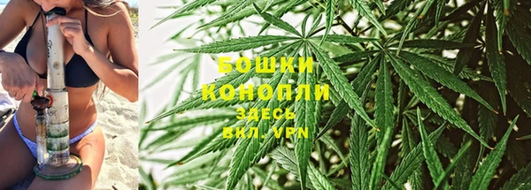 дурь Аркадак