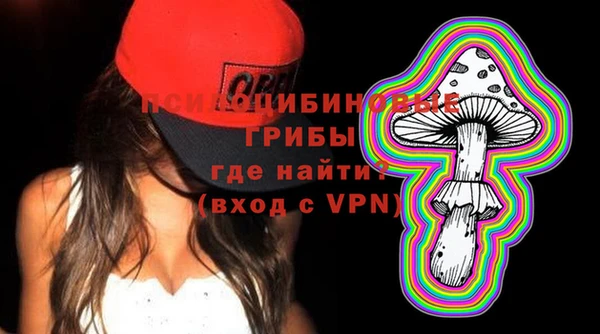 spice Арсеньев