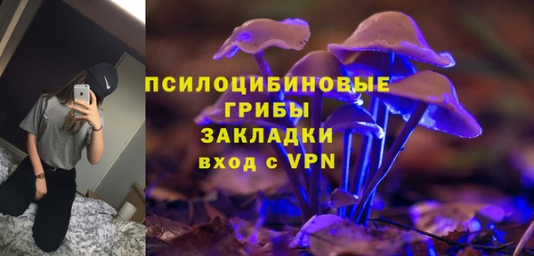 spice Арсеньев