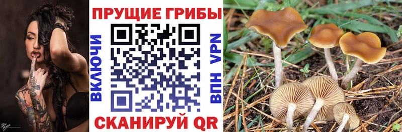 Галлюциногенные грибы Magic Shrooms  Артёмовск 